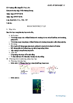 Giáo án Sinh học 11 tiết 38: Hoocmon thực vật