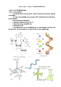Giáo án Sinh học 12 Bài 4: ARN và quá trình phiên mã