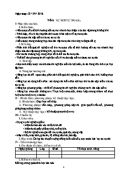 Giáo án Vật lý 11 - Tiết 6: Sự rơi tự do (tiết 1)